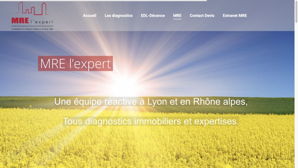 Capture du site de MRE L’expert
